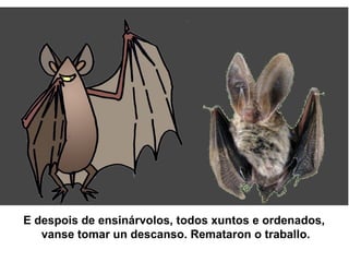 E despois de ensinárvolos, todos xuntos e ordenados,
vanse tomar un descanso. Remataron o traballo.
 