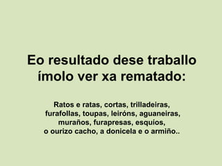 Eo resultado dese traballo
ímolo ver xa rematado:
Ratos e ratas, cortas, trilladeiras,
furafollas, toupas, leiróns, aguaneiras,
muraños, furapresas, esquíos,
o ourizo cacho, a donicela e o armiño..
 