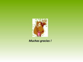 Muchas gracias !
 