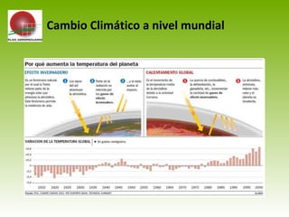 Cambio Climático a nivel mundial
 