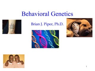 Behavioral Genetics
   Brian J. Piper, Ph.D.




                           1
 