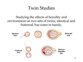 Twin Studies
      Studying the effects of heredity and
environment on two sets of twins, identical and
         fraternal, has come in handy.




                                              14
 