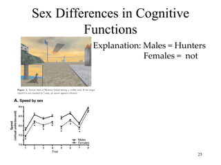 Sex Differences in Cognitive
         Functions
          Explanation: Males = Hunters
                       Females = not




                                    25
 