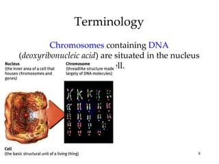 Terminology
         Chromosomes containing DNA
(deoxyribonucleic acid) are situated in the nucleus
                      of a cell.




                                                  8
 