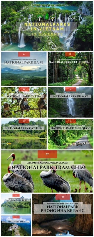 10 bekannte Nationalparks in Vietnam