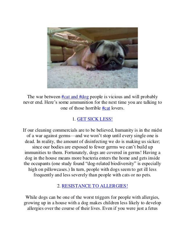 10 benefits of being a dog owner