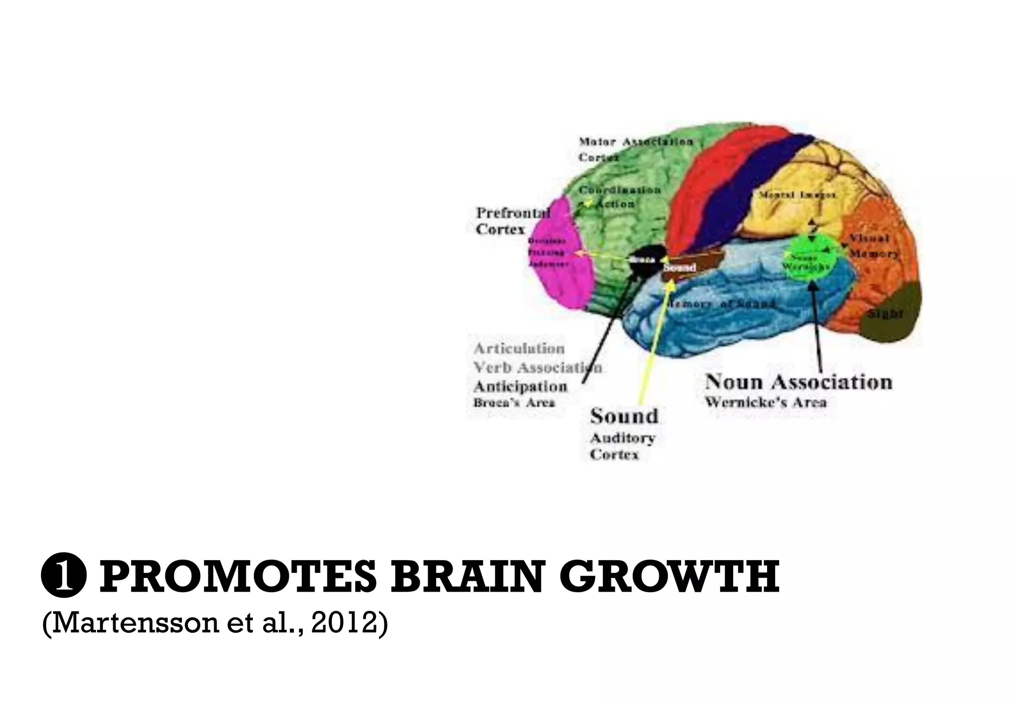 ❶ PROMOTES BRAIN GROWTH
(Martensson et al., 2012)