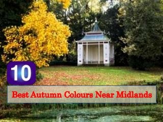 Best Autumn Colours Near Midlands 
 