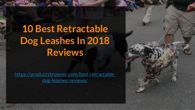 best retractable dog leash 2018