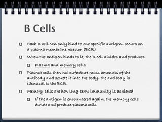 B Cells
Each B cell can only bind to one specific antigen- occurs on
a plasma membrane receptor (BCR)
When the antigen binds to it, the B cell divides and produces
    Plasma and memory cells
Plasma cells then manufacture mass amounts of the
antibody and secrete it into the body- the antibody is
identical to the BCR
Memory cells are how long-term immunity is achieved
    If the antigen is encountered again, the memory cells
    divide and produce plasma cells
 