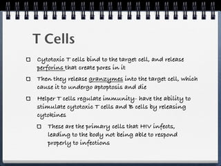 T Cells
Cytotoxic T cells bind to the target cell, and release
perforins that create pores in it
Then they release granzymes into the target cell, which
cause it to undergo aptoptosis and die
Helper T cells regulate immunity- have the ability to
stimulate cytotoxic T cells and B cells by releasing
cytokines
   These are the primary cells that HIV infects,
   leading to the body not being able to respond
   properly to infections
 