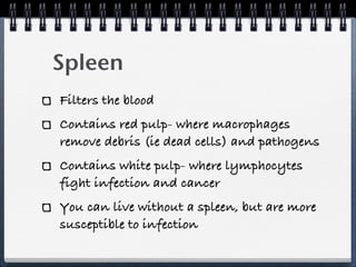 Spleen
Filters the blood
Contains red pulp- where macrophages
remove debris (ie dead cells) and pathogens
Contains white pulp- where lymphocytes
fight infection and cancer
You can live without a spleen, but are more
susceptible to infection
 