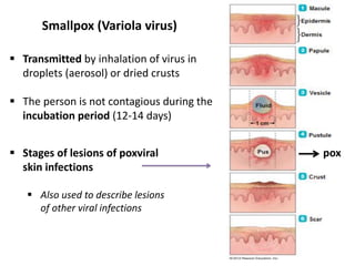 10 bio265 disease of skin and cns instructor dr di bonaventura | PDF