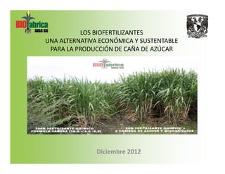 LOS BIOFERTILIZANTES 
UNA ALTERNATIVA ECONÓMICA Y SUSTENTABLE 
PARA LA PRODUCCIÓN DE CAÑA DE AZÚCAR 
Diciembre 2012 
 