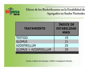 Efecto de los Biofetilizantes en el % de 
porosidad en diferentes tipos de suelo 
(ante y poscosecha) 
20 
SUELO VERTISOL ...
