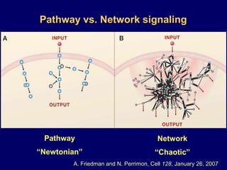Probability of Survival100806040200024487296120144168Months13q deletionPatients surviving (%)12q trisomy11q deletionNormal17p deletionDöhner H, et al. N Engl J Med. 2000;343:1910-1916.