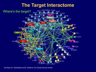 1001008080Surviving (%)6060Surviving (%)P=0.0008P=0.0014040202000501001502002503000050100150200250300MonthsMonthsSurvival of CLL Patients With Mutated vsUnmutated VH GenesStage-A CLL patients (n=62)All patients (n=84)MutatedMutatedUnmutatedUnmutatedDamle RN, et al. Blood. 1999;94:1840-1847.Hamblin TJ, et al. Blood. 1999;94:1848-1854