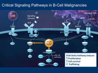 Randomized Discontinuation DesignPremise:Some drugs are more static than tumouricidal
