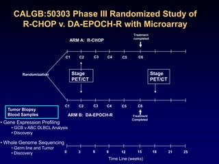 A Proposal for New Drug Development in CancerSmall Phase II TrialsMolecular EnrichmentMolecular EnrichmentRepeat