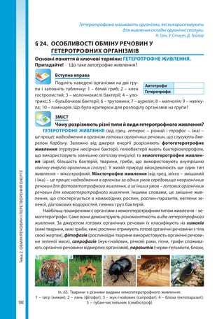 Тема2.ОБМІНРЕЧОВИНІПЕРЕТВОРЕННЯЕНЕРГІЇ
100
Гетеротрофами називають організми, які використовують
для живлення складні органічні сполуки.
Н. Грін, У. Стаут, Д. Тейлор
§ 24.	 ОСОБЛИВОСТІ ОБМІНУ РЕЧОВИН У
ГЕТЕРОТРОФНИХ ОРГАНІЗМІВ
Основні поняття й ключові терміни: ГЕТЕРОТРОФНЕ ЖИВЛЕННЯ.
Пригадайте!	 Що таке автотрофне живлення?
	 Вступна вправа
Поділіть наведені організми на дві гру-
пи і заповніть табличку: 1 – білий гриб; 2 – клен
гостролистий; 3 – молочнокислі бактерії; 4 – уло­
трикс; 5 – бульбочкові бактерії; 6 – трутовики; 7 – аурелія; 8 – магнолія; 9 – навіку-
ла; 10 – ламінарія. Що було критерієм для розподілу організмів на групи?
	ЗМІСТ
	 Чому розрізняють різні типи й види гетеротрофного живлення?
ГЕТЕРОТРОФНЕ ЖИВЛЕННЯ (від грец. гетерос – різний і трофос – їжа) –
це процес надходження в організм готових органічних речовин, що слугують дже-
релом Карбону. Залежно від джерел енергії розрізняють фотогетеротрофне
жив­лення (пурпурні несірчані бактерії, геліобактерії мають бактеріохлорофіли,
що використовують зовнішню світлову енергію) та хемогетеротрофне живлен­
ня (археї, більшість бактерій, тварини, гриби, що використовують внутрішню
хімічну енергію органічних сполук). У живій природі виокремлюють ще один тип
живлення – міксотрофний. Мікстотрофне живлення (від грец. міксо – змішаний
і їжа) – це процес надходження в організм за одних умов середовища неорганічних
речовин для фотоавтотрофного живлення, а за інших умов – готових органічних
речовин для хемогетеротрофного живлення. Іншими словами, це змішане жив-
лення, що спостерігається в ко­махоїдних рослин, рослин-паразитів, евглени зе-
леної, діатомових водоростей, певних груп бактерій.
Найбільш поширеними є організми з хемогетеротрофним типом живлення – хе-
могетеротрофи. Саме вони демонструють різноманітність видів гетеротрофного
живлення. За джерелом готових органічних речовин їх класифікують на хижаків
(хижі тварини, хижі гриби, хижі рослини отримують готові органічні речовини з тіла
своєї жертви), фітофагів (рослиноїдні тварини використовують органічні речови-
ни зеленої маси), сапрофагів (жук-гнойовик, річкові раки, гієни, грифи спожива-
ють органічні речовини відмерлих організмів), паразитів (черви-гельмінти, блохи,
Автотрофи
Гетеротрофи
Іл. 65. Тварини з різними видами хемогетеротрофного живлення:
1 – тигр (хижак); 2 – лань (фітофаг); 3 – жук-гнойовик (сапрофаг); 4 – блоха (ектопаразит);
5 – губан-чистильник (симбіотроф)
1 2 3 4 5
Право для безоплатного розміщення підручника в мережі Інтернет має
Міністерство освіти і науки України http://mon.gov.ua/ та Інститут модернізації змісту освіти https://imzo.gov.ua
 