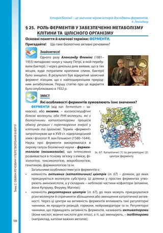 Тема2.ОБМІНРЕЧОВИНІПЕРЕТВОРЕННЯЕНЕРГІЇ
104
Історія біохімії – це значною мірою історія досліджень ферментів.
А. Ленінджер
§ 25.	 РОЛЬ ФЕРМЕНТІВ У ЗАБЕЗПЕЧЕННІ МЕТАБОЛІЗМУ
КЛІТИНИ ТА ЦІЛІСНОГО ОРГАНІЗМУ
Основні поняття й ключові терміни: ФЕРМЕНТИ.
Пригадайте! 	 Що таке біологічно активні речовини?
	Знайомтеся!
Одного разу Александр Флемінг (1881–
1955) випадково чхнув у чашку Петрі, в якій перебу-
вали бактерії, і через декілька днів виявив, що в тих
місцях, куди потрапили краплини слини, бактерії
було знищено. В результаті був відкритий захисний
фермент лізоцим, що є найпоширенішим природ-
ним антибіотиком. Першу статтю про це відкриття
було опубліковано в 1922 р.
	ЗМІСТ
	 Які особливості ферментів зумовлюють їхнє значення?
ФЕРМЕНТИ (від лат. fermentum – за-
кваска), або ензими, – високоспецифічні
білкові молекули, або РНК-молекули, які є
біологічними каталізаторами процесів
обміну речовин і перетворення енергії у
клітинах та організмі. Термін «фермент»
запропонував ще в XVII ст. нідерландський
хімік і фізіолог Я. ван Гельмонт (1580–1644).
Наука про ферменти виокремилася в
окрему галузь біохімічної науки – фермен-
тологію (ензимологію), що інтенсивно
розвивається в тісному зв'язку з хімією, фі-
зіологією, токсикологією, мікробіологією,
генетикою, фармакологією та ін.
Загальними особливостями усіх ферментів є:
•	 наявність активних (каталітичних) центрів (іл. 67) – ділянок, до яких
приєднуються молекули субстрату. Ці ділянки у простих ферментах утво-
рюють амінокислоти, а у складних – небілкові частини-кофактори (вітаміни,
йони Купруму, Феруму, Магнію);
•	 наявність регуляторних центрів (іл. 67), до яких можуть приєднуватися
різні молекули й спричиняти збільшення або зменшення каталітичної актив-
ності. Через ці центри на активність ферментів впливають такі регуляторні
чинники, як продукти реакцій, гормони, нейромедіатори та ін. Регуляторні
чинники, що підвищують активність ферментів, називають активаторами
(йони кислот, жовчні кислоти для ліпаз), а ті, що зменшують, – інгібіторами
(наприклад, катіони важких металів);
Іл. 67. Каталітичні (1) та регуляторні (2)
центри ферменту
1
1
2
Право для безоплатного розміщення підручника в мережі Інтернет має
Міністерство освіти і науки України http://mon.gov.ua/ та Інститут модернізації змісту освіти https://imzo.gov.ua
 