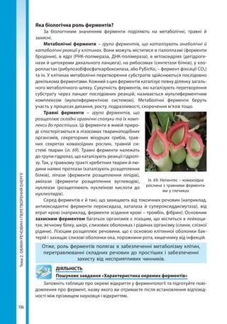 Тема2.ОБМІНРЕЧОВИНІПЕРЕТВОРЕННЯЕНЕРГІЇ
106
Яка біологічна роль ферментів?
За біологічним значенням ферменти поділяють на метаболічні, травні й
захисні.
Метаболічні ферменти – група ферментів, що каталізують анаболічні й
катаболічні реакції у клітинах. Вони можуть міститися в гіалоплазмі (ферменти
бродіння), в ядрі (РНК-полімераза, ДНК-полімераза), в мітохондріях (дегідроге-
нази й цитохроми дихального ланцюга), на рибосомах (синтетази білків), у хло-
ропластах (рибулозобіфосфаткарбоксилаза, або РуБісКо, – фермент фіксації СО2)
та ін. У клітинах метаболічні перетворення субстратів здійснюються послідовно
декількома ферментами. Кожний з цих ферментів каталізує певну ділянку загаль-
ного метаболічного шляху. Сукупність ферментів, які каталізують перетворення
субстрату через ланцюг послідовних реакцій, називається мультиферментним
комплексом (мультиферментною системою). Метаболічні ферменти беруть
участь у процесах дихання, росту, подразливості, скорочення м’язів тощо.
Травні ферменти – група ферментів, що
розщеплює складні органічні сполуки та їх комп-
лекси до простіших. Ці ферменти в живій приро-
ді спостерігаються в лізосомах твариноподібних
організмів, секреторних міхурцях грибів, трав-
них секретах комахоїдних рослин, травній си­
стемі тварин (іл. 69). Травні ферменти належать
до групи гідролаз, що каталізують реакції гідролі-
зу. Так, у травному тракті хребетних тварин й лю-
дини наявні протеази (каталізують розщеплення
білків), ліпази (ферменти розщеплення ліпідів),
амілази (ферменти розщеплення вуглеводів),
нуклеази (розщеплюють нуклеїнові кислоти до
нуклеотидів).
Серед ферментів є й такі, що захищають від токсичних речовин (наприклад,
антиоксидантні ферменти пероксидаза, каталаза й супероксиддисмутаза), від
втрат крові (наприклад, ферменти зсідання крові – тромбін, фібрин). Основним
захисним ферментом багатьох організмів є лізоцим, що міститься в лейкоци-
тах, яєчному білку, шкірі, слизових оболонках і рідинах організму (слини, слізної
рідини). Лізоцим розщеплює речовини, що є основою клітинної оболонки бак-
терій і захищає слизові оболонки ока, порожнини рота, кишечнику від інфекцій.
Отже, роль ферментів полягає в забезпеченні метаболізму клітин,
перетравлюванні складних речовин до простіших і забезпеченні
захисту від несприятливих чинників.
	ДІЯЛЬНІСТЬ
	 Пошукове завдання «Характеристика окремих ферментів»
Заповніть таблицю про окремі відкриття у ферментології та підготуйте пові-
домлення про фермент, назву якого ви отримаєте після встановлення відповід-
ності між прізвищем науковця і відкриттям.
Іл. 69. Непентес – комахоїдна
рослина з травними фермента-
ми у глечиках
Право для безоплатного розміщення підручника в мережі Інтернет має
Міністерство освіти і науки України http://mon.gov.ua/ та Інститут модернізації змісту освіти https://imzo.gov.ua
 