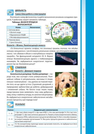 115
§27.Енергетичнезабезпеченняпроцесівметаболізму
	ДІЯЛЬНІСТЬ
	 Самостійна робота з ілюстрацією
Розгляньте схему фотосинтезу та дайте визначення основних складових про-
цесів. У робочому зошиті заповніть таблицю.
Таблиця. ФАЗИ Й ПРОЦЕСИ
ФОТОСИНТЕЗУ
Назва Визначення
І. Світлова фаза
 Фотоліз води
 Відновлення НАДФ
 Фотофосфорилювання
ІІ. Темнова фаза
 Цикл Кальвіна
Біологія + Фізика. Люмінесценція живого
«То блакитний промінь сапфіра, то опаловий промінь топаза, то обидва
кольори змішувались і засліплювали розкішним сяйвом, що оточувало вночі мо-
люска, і він здавався одним із найчудовіших творінь
природи». Так французький натураліст Ж. Б. Верані
описує біолюмінесценцію одного з глибоководних
кальмарів. Як відбуваються енергетичні перетво-
рення під час біолюмінесценції?
СТАВЛЕННЯ
Біологія + Домашні тварини
Золотистий ретрівер (Голден ретрівер) – по-
рода псів, яка сьогодні стала універсальною. Полі-
цейські собаки й рятувальники, мисливці й лікарі,
няньки і компаньйони – ось далеко не повний пере-
лік того, на що здатні ці пси. Слухняний, розумний, з
природними здібностями до роботи, добродушний
і впевнений собака. Не багато існує інших порід,
представники яких виявляють таку саму доброзич-
ливу, м'яку і люблячу натуру, як золотистий ретрівер.
Як відбувається енергетичне забезпечення метабо-
лічних процесів у цієї породи псів?
	РЕЗУЛЬТАТ
Оцінка Завдання для самоконтролю
1 – 6
1. Що таке обмін енергії? 2. Що таке АТФ? 3. Хто такі автотрофи? 4. Хто такі гете-
ротрофи? 5. Що таке клітинне дихання? 6. Назвіть етапи енергетичного обміну.
7 – 9
7. Яка роль АТФ у забезпеченні процесів метаболізму? 8. Які є способи отриман-
ня енергії живими організмами? 9. Яка роль процесів дихання в забезпеченні
організмів енергією?
10 – 12
10. На конкретному прикладі живих організмів поясніть, як відбувається його
енергетичне забезпечення.
Право для безоплатного розміщення підручника в мережі Інтернет має
Міністерство освіти і науки України http://mon.gov.ua/ та Інститут модернізації змісту освіти https://imzo.gov.ua
 