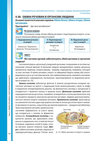 Тема2.ОБМІНРЕЧОВИНІПЕРЕТВОРЕННЯЕНЕРГІЇ
116
Біоенергетика і метаболізм клітин – «основна страва» динамічної біохімії.
А. Ленінджер
§ 28.	 ОБМІН РЕЧОВИН В ОРГАНІЗМІ ЛЮДИНИ
Основні поняття й ключові терміни: Обмін білків. Обмін ліпідів. Обмін
вуглеводів.
Пригадайте!	 Що таке метаболізм?
	 Вступна вправа
Розгляньте схему «Етапи обміну речовин і перетворення енергії» та ви-
значте значення обміну речовин й енергії.
І. Надходження речовин
та енергії
ІІ. Перетворення
речовин та енергії
ІІІ. Видалення речо­
вин та енергії
Живлення. Травлення.
Дихання. Теплоутворення
Анаболізм
↑ ↓
Катаболізм
Виділення.
Тепловіддача
	ЗМІСТ
	 Які системи органів забезпечують обмін речовин в організмі
людини?
Системний рівень організації утворений органами, поєднаними в системи ви-
конанням спільної функції. В організмі людини виокремлюють травну, дихальну,
кровоносну, видільну, опорно-рухову, нервову, ендокринну, покривну, сенсорні
та інші системи. В обміні речовин, енергії та інформації беруть пряму або опосе-
редковану участь усі системи органів, але найважливіша роль належить системам,
що здійснюють надходження, поглинання, транспортування та видалення речо-
вин й енергії (іл. 73).
Травна система забезпечує фізичне й хімічне розщеплення складних ор-
ганічних речовин на прості з подальшим їхнім всмоктуванням у кров та лімфу
й видалення неперетравлених решток. Ця фізіологічна система є наскрізною й
складається з травного каналу й травних залоз. Дихальна система здійснює
надходження кисню до клітин, газообмін та видалення з клітин вуглекислого газу
як кінцевого продукту окиснення органічних речовин. Завдяки диханню вивіль-
няється хімічна енергія поживних речовин. Кровоносна система транспортує
по замкненій системі судин від травної системи й легень до клітин прості пожив-
ні речовини та кисень, а від клітин до органів виділення – продукти метаболізму.
Транспортування речовин кровоносною
си­стемою відбувається за участі крові,
що складається з плазми та формених
елементів. Сечовидільна система є су-
купністю органів, що здійснюють утво-
рення та видалення сечі, в якій містяться
сечовина, надлишок солей й води, сечо-
ва кислота, жовчні пігменти тощо. Шкі-
ра в обміні речовин реалізує видільну й
терморегуляторну функції. Потові зало- Іл. 73. Обмін речовин й енергії у людини
Піт
О2
СО2
Н2
О
Кінцеві продукти
обміну речовин
Неперетравлені
рештки їжі
Травна
система
Шкіра
Органи виділенняНавко
лишнєс
ередовище
Внутріш
нєсер
едовище Кровообіг
Їжа й вода
Право для безоплатного розміщення підручника в мережі Інтернет має
Міністерство освіти і науки України http://mon.gov.ua/ та Інститут модернізації змісту освіти https://imzo.gov.ua
 