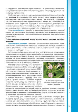 129
§31.Негативнийвпливнаобмінречовинчужоріднихсполуктаїхзнешкодженняворганізмілюдини
ка забруднення ними значною мірою пов'язана з їх здатністю до накопичення.
Сполуки важких металів виявляють токсичну дію на білки, порушуючи цим від-
повідні функції організму.
Особливої уваги у зв’язку з надлишковим вмістом у живій речовині потребу-
ють нітрати. Це термічно нестійкі, добре розчинні у воді сполуки, які можуть
накопичуватись в коренеплодах і плодах рослин. Самі нітрати не є отруйними,
але в організмі людини вони перетворюються на нітрити, які взаємодіють з ге-
моглобіном крові. В організмі порушується тканинне дихання, внаслідок чого
розвивається хвороба метгемоглобінемія. Крім того, дія нітритів є небезпечною
для організму через утворення канцерогенів – нітрозоамінів.
Отже, ксенобіотики – чужорідні речовини, що не синтезуються в організмі
людини, але потрапляючи всередину або на покриви тіла, можуть спричиняти
алергічні реакції, мутації, хвороби, послаблювати імунітет, порушувати обмін
речовин тощо.
У чому полягає негативний вплив психоактивних речовин на обмін
речовин?
Психоактивні речовини – речовини, що спричиняють звикання та залеж-
ність за умов систематичного їх вживання, внаслідок чого змінюється поведінка
людини. До цієї групи речовин належать алкоголь, нікотиновмісні, опіоїди, кока-
їн, снотворні, барбітурати та ін.
Всі психоактивні речовини впливають на роботу головного мозку людини:
прискорюють передачу сенсорних сигналів або перешкоджають нервовим цен-
трам виконувати свої функції. В основі ефектів, зумовлених дією психотропних
речовин, – їх вплив на нейромедіатори (речовини, що передають сигнали від
одного нейрона до іншого). Найпоширенішими речовинами цієї групи є етанол,
нікотиновмісні (іл. 78) й наркотичні речовини.
Етанол (етиловий спирт) у клітинах постійно
утворюється на етапах обміну вуглеводів. У нормі
у крові людини завжди міститься близько 0,001–
0,015 г/л спирту. Невелика кількість етанолу не є
небезпечною, оскільки швидко знешкоджується
ферментами печінки. Вплив алкоголю на проце-
си обміну в організмі, на структуру клітин скла-
дається з дії двох речовин – етилового спирту та
похідного ацетальдегіду, що спричиняє різно-
манітні розлади внутрішньоклітинного обміну.
Найважливішими з них є ушкодження мембран,
порушення окисно-відновних реакцій, нестача поживних речовин, зниження
швидкості синтезу білків, зміни в обміні нейромедіаторів, порушення механізмів
регуляції функцій організму. Збільшення кількості етанолу в організмі призводить
до виникнення метаболічної залежності від нього.
У тютюновому димі шкідливих сполук багато (чадний газ, бензпірен, фор-
мальдегід, ацетальдегід, бензен тощо), але найнебезпечнішим є нікотин. Це
алкалоїд, що в організмі виявляє нейротоксичну отруйну дію. Йдеться про ек-
зогенний нікотин. У самому організмі міститься власний природний ендогенний
нікотин, що синтезується клітинами печінки в невеликих кількостях і входить до
Іл. 78. Тютюн справжній
(Nicotiana tabacum) – рослина
родини Пасльонові
Право для безоплатного розміщення підручника в мережі Інтернет має
Міністерство освіти і науки України http://mon.gov.ua/ та Інститут модернізації змісту освіти https://imzo.gov.ua
 