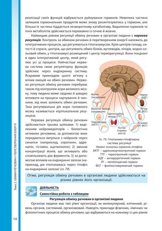 Тема2.ОБМІНРЕЧОВИНІПЕРЕТВОРЕННЯЕНЕРГІЇ
134
реалізації своїх функцій відбувається руйнування гормонів. Невелика частина
залишків гормональних продуктів може знову ресинтезуватись у гормони, але
більша їх частина піддається незворотному катаболізму. Видалення гормонів та
їхніх метаболітів здійснюється переважно із сечею й жовчю.
Найвищим рівнем регуляції обміну речовин в організмі людини є нервова
регуляція. Контроль за обміном речовин й перетворенням енергії належить до
інтегративних процесів, що регулюються гіпоталамусом. Крім центрів голоду, си-
тості й спраги, центрів, що регулюють обмін білків, вуглеводів, ліпідів, водно-со-
льовий обмін, у гіпоталамусі розміщений і центр терморегуляції. Вони поєднані
в один інтегративний центр, який регу-
лює усі ці процеси. Найчастіше нерво-
ва система свою регуляторну функцію
здійснює через ендокринну систему.
Яскравим прикладом цього зв’язку є
вплив емоцій на обмін речовин. Нерво-
ва регуляція обміну речовин перебуває
також під контролем кори великого моз-
ку, тому людина може свідомо й швидко
впливати на процеси харчування й чин-
ники, від яких залежить обмін речовин.
Така регулювальна дія кори головного
мозку називається кортикальною регу-
ляцією.
Нервова регуляція обміну речовин
здійснюється трьома шляхами: 1) виді-
ленням нейромедіаторів – біологічно
активних речовини, за допомогою яких
передаються імпульси з нейронів через
синапси (наприклад, серотонін, адре-
налін, гістамін, ацетилхолін); 2) зміною
концентрації йонів, що активують або
сповільнюють дію ферментів; 3) за допо-
могою впливів на ендокринні залози (на-
приклад, дія гіпоталамаса через гіпофіз
на ендокринні залози) (іл. 79).
Отже, регуляція обміну речовин в організмі людини здійснюється на
різних рівнях його організації.
	ДІЯЛЬНІСТЬ
	 Самостійна робота з таблицею
Регуляція обміну речовин в організмі людини
Організм людини має такі рівні організації, як молекулярний, клітинний, рі-
вень органів, системний, організмовий. Наведіть приклади фізичних, хімічних чи
фізіологічних процесів обміну речовин, що відбуваються на кожному із цих рівнів
Іл. 79. Гіпоталамо-гіпофізарна
система регуляції
Умовні позначки гормонів гіпофіза:
АКТГ – адренокортикотропний гормон
ТТГ – тиреотропний гормон
АДГ – антидіуретичний гормон
ЛГ – лютеїнізуючий гормон
ФСГ – фолікостимулюючий гормон
Матка
(окситоцин)
Молочні залози
(пролактин)
Наднирники
(АКТГ)
Щитоподібна
залоза (ТТГ)
Яєчники
(ЛГ, ФСГ)
Яєчки
(ЛГ, ФСГ)
Нирки
(АДГ)
Кістки
(гормон
росту)
Право для безоплатного розміщення підручника в мережі Інтернет має
Міністерство освіти і науки України http://mon.gov.ua/ та Інститут модернізації змісту освіти https://imzo.gov.ua
 