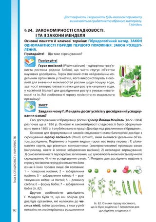 Тема3.СПАДКОВІСТЬІМІНЛИВІСТЬ
142
Достовірність й корисність будь-якого експерименту
визначаються придатністю обраного матеріалу.
Г. Мендель
§ 34. 	ЗАКОНОМІРНОСТІ СПАДКОВОСТІ.
І ТА ІІ ЗАКОНИ МЕНДЕЛЯ
Основні поняття й ключові терміни: Гібридологічний метод. ЗАКОН
ОДНОМАНІТНОСТІ ГІБРИДІВ ПЕРШОГО ПОКОЛІННЯ. ЗАКОН РОЗЩЕП­
ЛЕННЯ.
Пригадайте! 	 Що таке схрещування?
	Поміркуйте!
Горох посівний (Pisum sativum) – однорічна трав’я-
ниста рослина родини Бобові, що часто слугує об’єктом
наукових досліджень. Горох посівний став найдавнішим мо-
дельним організмом у генетиці, його використовують в еко-
логії для вивчення можливостей рослин щодо пошуку води,
здатності використовувати звуки для росту в напрямку води,
у космічній біології для дослідження росту в умовах неваго-
мості та ін. Які особливості гороху посівного як модельного
організму?
	ЗМІСТ
	 Завдяки чому Г. Мендель досяг успіхів у дослідженні успадку­
вання ознак?
Свої дослідження з гібридизації рослин Грегор Йоганн Мендель (1822–1884)
розпочав ще в 1856 р. Основні ж закономірності спадковості було сформульо-
вано ним в 1865 р. і опубліковано в праці «Досліди над рослинними гібридами».
Основою для формулювання законів спадковості стали багаторічні досліди з
схрещування гороху посівного (Pisum sativum), який виявився ідеальним об’єк-
том досліджень. Порівняно з іншими видами горох має низку переваг: 1) різно-
маніття сортів, що різняться контрастними (альтернативними) проявами ознак
(наприклад, жовте й зелене забарвлення насінин); 2) нескладне вирощування;
3) самозапилення та перехресне запилення, що зумовлюють можливість штучного
схрещування; 4) чітке успадкування ознак. Г. Мендель для досліджень виділив у
гороху посівного серед різноманіття його
ознак й їхніх проявів лише сім головних:
1 – поверхню насіння; 2 – забарвлення
насіння; 3 – забарвлення квіток; 4 – роз-
ташування квіток на пагоні; 5 – довжину
стебла; 6 – форму бобів; 7 – забарвлення
бобів (іл. 82).
Другою особливістю досліджень
Г.  Менделя було те, що він обирав для
дослідів організми, які належали до чи-
стих ліній, тобто організми, в яких у ряді
поколінь не спостерігалось розщеплення
Іл. 82. Ознаки гороху посівного,
що їх було виділено Г. Менделем для
досліджень спадковості
Право для безоплатного розміщення підручника в мережі Інтернет має
Міністерство освіти і науки України http://mon.gov.ua/ та Інститут модернізації змісту освіти https://imzo.gov.ua
 