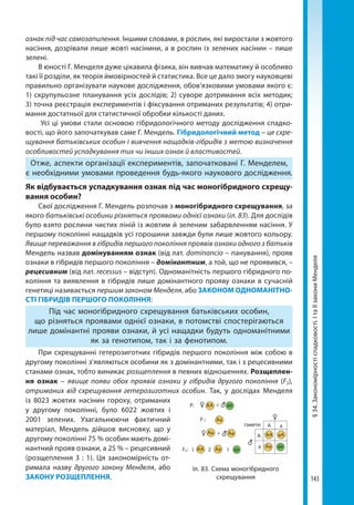 143
§34.Закономірностіспадковості.ІтаІІзакониМенделя
ознак під час самозапилення. Іншими словами, в рослин, які виростали з жовтого
насіння, дозрівали лише жовті насінини, а в рослин із зелених насінин – лише
зелені.
В юності Г. Менделя дуже цікавила фізика, він вивчав математику й особливо
такі її розділи, як теорія ймовірностей й статистика. Все це дало змогу науковцеві
правильно організувати наукове дослідження, обов’язковими умовами якого є:
1) скрупульозне планування усіх дослідів; 2) суворе дотримання всіх методик;
3) точна реєстрація експериментів і фіксування отриманих результатів; 4) отри-
мання достатньої для статистичної обробки кількості даних.
Усі ці умови стали основою гібридологічного методу дослідження спадко-
вості, що його започаткував саме Г. Мендель. Гібридологічний метод – це схре-
щування батьківських особин і вивчення нащадків-гібридів з метою визначення
особливостей успадкування тих чи інших ознак й властивостей.
Отже, аспекти організації експериментів, започатковані Г. Менделем,
є необхідними умовами проведення будь-якого наукового дослідження.
Як відбувається успадкування ознак під час моногібридного схрещу­
вання особин?
Свої дослідження Г. Мендель розпочав з моногібридного схрещування, за
якого батьківські особини різняться проявами однієї ознаки (іл. 83). Для дослідів
було взято рослини чистих ліній із жовтим й зеленим забарвленням насіння. У
першому поколінні нащадків усі горошини завжди були лише жовтого кольору.
Явище переважання в гібридів першого покоління проявів ознаки одного з батьків
Мендель назвав домінуванням ознак (від лат. dominancio – панування), прояв
ознаки в гібридів першого покоління – домінантним, а той, що не проявився, –
рецесивним (від лат. recessus – відступ). Одноманітність першого гібридного по-
коління та виявлення в гібридів лише домінантного прояву ознаки в сучасній
генетиці називається першим законом Менделя, або ЗАКОНОМ ОДНОМАНІТНО­
СТІ ГІБРИДІВ ПЕРШОГО ПОКОЛІННЯ:
Під час моногібридного схрещування батьківських особин,
що різняться проявами однієї ознаки, в потомстві спостерігаються
лише домінантні прояви ознаки, й усі нащадки будуть одноманітними
як за генотипом, так і за фенотипом.
При схрещуванні гетерозиготних гібридів першого покоління між собою в
другому поколінні з’являються особини як з домінантними, так і з рецесив­ними
станами ознак, тобто виникає розщеплення в певних відношеннях. Розщеплен­
ня ознак – явище появи обох проявів ознаки у гібридів другого покоління (F2),
отриманих від схрещування гетерозиготних особин. Так, у дослідах Менделя
із 8023 жовтих насінин гороху, отриманих
у другому поколінні, було 6022 жовтих і
2001 зелених. Узагальнюючи фактичний
матеріал, Мендель дійшов висновку, що у
другому поколінні 75 % особин мають домі-
нантний прояв ознаки, а 25 % – рецесивний
(розщеп­лення 3 : 1). Ця закономірність от-
римала назву другого закону Менделя, або
ЗАКОНУ РОЗЩЕПЛЕННЯ.
гамети
А
P:
F1:
1 2 1F2:
А
АА
АА
АА
аа
Aа
Aа Aа
Aа Aа
aA
аа
а
а
аа
Іл. 83. Схема моногібридного
схрещування
Право для безоплатного розміщення підручника в мережі Інтернет має
Міністерство освіти і науки України http://mon.gov.ua/ та Інститут модернізації змісту освіти https://imzo.gov.ua
 