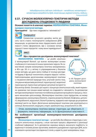 Тема3.СПАДКОВІСТЬІМІНЛИВІСТЬ
154
Індивідуальність (від лат. individuum – неподільне, неповторне) –
неповторна своєрідність будь-якого явища, окремої істоти, людини.
З енциклопедії
§ 37.	 СУЧАСНІ МОЛЕКУЛЯРНО-ГЕНЕТИЧНІ МЕТОДИ
ДОСЛІДЖЕНЬ СПАДКОВОСТІ ЛЮДИНИ
Основні поняття й ключові терміни: МОЛЕКУЛЯРНА ГЕНЕТИКА. Моле­
кулярно-генетичні методи.
Пригадайте! 	 Що таке спадковість і мінливість?
	Поміркуйте!
Елементом сучасного дизайну житла до-
сить часто стають генопортрети (зображення ДНК)
мешканців, за допомогою яких підкреслюють особ­
ливості стилю оформлення. Що є основою непов-
торності таких портретів і чому вони індивідуальні?
	ЗМІСТ
	 Що є предметом досліджень молекулярної генетики?
МОЛЕКУЛЯРНА ГЕНЕТИКА – це розділ генетики
й молекулярної біології, що вивчає молекулярні основи
спадковості й мінливості живих організмів і вірусів. Як са-
мостійний напрям молекулярна генетика виокремилась
в 40-х рр. XX ст. у зв'язку із упровадженням у біологію
нових методів, що дали змогу глибше й точніше досліди-
ти будову й функції генетичного апарата вірусів і клітин.
Найголовнішими досягненнями молекулярної генетики
є з'ясування хімічної природи гена, штучний синтез гена,
з'ясування механізмів реплікації,транскрипції,зворотної
транскрипції, трансляції, репарації, регуляції експресії та
біосинтезу білків. Основою цієї науки є концепція генетичного коду, який первин-
но зумовлює такі ознаки живої матерії, як спадковість і мінливість. За допомогою
методів молекулярної генетики поглиблено розуміння мутаційного процесу, з'ясо-
вано механізми кросинговеру. Молекулярна генетика стала підґрунтям, на якому
сформувалась молекулярна біологія, сприяла розвитку біохімії, біофізики, цитоло-
гії, мікробіології, вірусології, біології розвитку, відкрила нові підходи до розуміння
еволюції життя на Землі. Досягнення молекулярної генетики уже реалізуються в
селекції, біотехнології, медицині, спорті, криміналістиці, антропології (іл. 89).
Отже, молекулярна генетика вивчає структури, що зберігають й
формують генетичну інформацію, та їх функціональні властивості.
Які особливості організації молекулярно-генетичних досліджень
спад­ко­вості?
Молекулярно-генетичні методи – це методи дослідження структури й мін-
ливості генетичного апарату, з яким пов’язані процеси збереження й реалізації
спадкової інформації. За їх допомогою науковці можуть визначати подібність та
відмінності геномів різних організмів, виявляти ушкодження структури ДНК, вста-
новлювати нуклеотидні послідовності генів у нормі й у разі захворювань тощо.
Білки
Молекулярна
біологія
Біохімія
Генетика
Гени
Функції
Іл. 89. Предмет дослі-
джень молекулярної
генгетики
Право для безоплатного розміщення підручника в мережі Інтернет має
Міністерство освіти і науки України http://mon.gov.ua/ та Інститут модернізації змісту освіти https://imzo.gov.ua
 