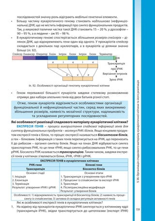 159
§38.Організаціяспадковогоматеріалуеукаріотичноїклітинитайогореалізація
послідовностей значну роль відіграють мобільні генетичні елементи.
•	 Більшу частину еукаріотичного геному становить надлишкова (нефункціо-
нальна) ДНК, що не містить інформації про синтез функціональних продуктів.
Так, у кишкової палички частка такої ДНК становить 15 – 20 %, у дрозофіли –
90 – 95 %, а в людини – аж 95 – 98 %.
•	 В еукаріотичному геномі спостерігається збільшення розмірів спейсерів – ді-
лянок ДНК, що відокремлюють гени один від одного. У прокаріотів спейсер
складається з декількох пар нуклеотидів, а в еукаріотів ці ділянки значно
більші (іл. 92).
Іл. 92. Особливості організації генотипу еукаріотичної клітини
Транскрипція
про-іРНК
Вирізання інтронів
Зріла іРНК
е е еі і
Спейсер Оператор Екзон Інтрон Екзон Інтрон Екзон Термінатор
ДНК
Енхансер
е е е
•	 Геном переважної більшості еукаріотів завдяки статевому розмноженню
отримує два набори алельних генів від двох батьків різної статі.
Отже, геном еукаріотів відрізняється особливостями організації
функціональної й нефункціональної частин, серед яких виокремимо
збільшення розмірів, наявність мозаїчної структури, надлишковість
та ускладнення регуляторних послідовностей.
Які особливості реалізації спадкового матеріалу еукаріотичної клітини?
ЕКСПРЕСІЯ ГЕНІВ – процеси використання спадкової інформації генів для
синтезу функціональних продуктів – молекул РНК і білків. Якщо кінцевим продук-
том експресії генів є білок, то процес експресії називається біосинтезом білків,
а ген – білковим. Інформація з таких генів переписується на іРНК, що переносить
її до рибосом – органел синтезу білків. Якщо на генах ДНК відбувається синтез
транспортних РНК, то це гени тРНК; якщо синтез рибосомальних РНК, то це гени
рРНК. Біосинтез РНК називається транскрипцією. Таким чином, завдяки експре-
сії генів у клітинах з’являються білки, іРНК, тРНК і рРНК.
ЕКСПРЕСІЯ ГЕНІВ в еукаріотичних клітинах
РНК-гени Білкові гени
Транскрипція Біосинтез білків
Основні стадії
1. Ініціація
2. Елонгація
3. Термінація
Результат: утворення тРНК і рРНК
Основні етапи
1. Транскрипція з утворенням про-іРНК
2. Процесинг із сплайсингом та експорт іРНК
3. Трансляція
4. Післятрансляційна модифікація
Результат: утворення білків
Особливості: 1) відокремленість транскрипції й біосинтезу білків; 2) наявність проце-
сингу із сплайсингом; 3) активна й складна регуляція активності генів
Які ж особливості експресії генів в еукаріотичних клітинах?
1. 	 На відміну від прокаріотів еукаріотична іРНК синтезується у клітинному ядрі
(транскрипція іРНК), звідки транспортується до цитоплазми (експорт іРНК)
Право для безоплатного розміщення підручника в мережі Інтернет має
Міністерство освіти і науки України http://mon.gov.ua/ та Інститут модернізації змісту освіти https://imzo.gov.ua
 