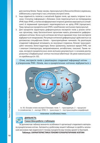 Тема3.СПАДКОВІСТЬІМІНЛИВІСТЬ
160
для синтезу білків. Таким чином, транскрипція й біосинтез білків є окремими,
відділеними у просторі й часі, етапами експресії генів.
2. 	 Інша відмінність полягає в мозаїчній будові генів, що мають інтрони та ек-
зони. Спочатку інформація з білкових генів переписується на попередника
іРНК (про-іРНК), а потім неінформативні інтронні ділянки вирізаються (сплай-
синг) й первинний транскрипт перетворюється на зрілу іРНК (процесинг).
Тому процесинг еукаріотичної іРНК є невід'ємною частиною транскрипції.
3. 	 Для еукаріотів характерна диференціальна експресія генів у різних кліти-
нах організму, тому багатоклітинні організми мають різноманітні диферен-
ційовані клітини. Хоча в усіх клітинах містяться однакові гени, їхня експресія
відбувається неоднаково. Регуляція клітинної диференціації здійснюється за
допомогою специфічних білків – транскрипційних чинників. На реалізацію
спадкової інформації впливають як внутрішні (гормони, білкові транскрип-
ційні чинники, білки-індуктори, білки хроматину, маленькі ядерні РНК), так
і зовнішні (температура, випромінювання, антибіотики, токсини). Таким чи-
ном, експресія еукаріотичних генів активно регулюється і є основою росту,
розвитку й диференціації клітин та їхньої адаптації до умов навколишньо-
го середовища (іл. 93).
Отже, експресія генів є реалізацією спадкової інформації клітин
з утворенням РНК і білків, яка в еукаріотичних клітинах відбувається з
Іл. 93. Основні етапи експресії білкових генів: 1 – транскрипція; 2 – процесинг
із сплайсингом; 3 – експорт іРНК; 4 – трансляція; 5 – посттрансляційна модифікація
певними особливостями.
	ДІЯЛЬНІСТЬ
	 Самостійна робота з таблицею
За допомогою таблиці визначте особливості організації спадкового матеріа-
лу еукаріотичних клітин. Заповніть у робочому зошиті таблицю та зробіть загаль-
ний висновок про відмінності геному еукаріотів від геному архей та бактерій.
Таблиця. ХАРАКТЕРИСТИКА ГЕНОМУ ЕУКАРІОТИЧНИХ КЛІТИН
Рибосоми
Цитоплазма
Ядро
ДНК
мРНК
Білок
РНК
1 2 3
4
5
Право для безоплатного розміщення підручника в мережі Інтернет має
Міністерство освіти і науки України http://mon.gov.ua/ та Інститут модернізації змісту освіти https://imzo.gov.ua
 