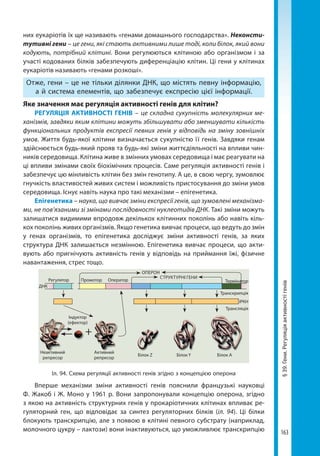 163
§39.Гени.Регуляціяактивностігенів
них еукаріотів їх ще називають «генами домашнього господарства». Неконсти-
тутивні гени – це гени, які стають активними лише тоді, коли білок, який вони
кодують, потрібний клітині. Вони регулюються клітиною або організмом і за
участі кодованих білків забезпечують диференціацію клітин. Ці гени у клітинах
еукаріотів називають «генами розкоші».
Отже, гени – це не тільки ділянки ДНК, що містять певну інформацію,
а й система елементів, що забезпечує експресію цієї інформації.
Яке значення має регуляція активності генів для клітин?
РЕГУЛЯЦІЯ АКТИВНОСТІ ГЕНІВ – це складна сукупність молекулярних ме-
ханізмів, завдяки яким клітини можуть збільшувати або зменшувати кількість
функціональних продуктів експресії певних генів у відповідь на зміну зовнішніх
умов. Життя будь-якої клітини визначається сукупністю ї ї генів. Завдяки генам
здійснюється будь-який прояв та будь-які зміни життєдіяльності на впливи чин-
ників середовища. Клітина живе в змінних умовах середовища і має реагувати на
ці впливи змінами своїх біохімічних процесів. Саме регуляція активності генів і
забезпечує цю мінливість клітин без змін генотипу. А це, в свою чергу, зумовлює
гнучкість властивостей живих систем і можливість пристосування до зміни умов
середовища. Існує навіть наука про такі механізми – епігенетика.
Епігенетика – наука, що вивчає зміни експресії генів, що зумовлені механізма-
ми, не пов’язаними зі змінами послідовності нуклеотидів ДНК. Такі зміни можуть
залишатися видимими впродовж декількох клітинних поколінь або навіть кіль-
кох поколінь живих організмів. Якщо генетика вивчає процеси, що ведуть до змін
у генах організмів, то епігенетика досліджує зміни активності генів, за яких
структура ДНК залишається незмінною. Епігенетика вивчає процеси, що акти-
вують або пригнічують активність генів у відповідь на приймання їжі, фізичне
навантаження, стрес тощо.
+
ДНК
Регулятор Промотор Оператор
ОПЕРОН
СТРУКТУРНІ ГЕНИ
Термінатор
Транскрипція
Трансляція
іРКН
Індуктор
(ефектор)
Неактивний
репресор
Активний
репресор
Білок Z Білок Y Білок A
Іл. 94. Схема регуляції активності генів згідно з концепцією оперона
Вперше механізми зміни активності генів пояснили французькі науковці
Ф. Жакоб і Ж. Моно у 1961 р. Вони запропонували концепцію оперона, згідно
з якою на активність структурних генів у прокаріотичних клітинах впливає ре-
гуляторний ген, що відповідає за синтез регуляторних білків (іл. 94). Ці білки
блокують транскрипцію, але з появою в клітині певного субстрату (наприклад,
молочного цукру – лактози) вони інактивуються, що уможливлює транскрипцію
Право для безоплатного розміщення підручника в мережі Інтернет має
Міністерство освіти і науки України http://mon.gov.ua/ та Інститут модернізації змісту освіти https://imzo.gov.ua
 