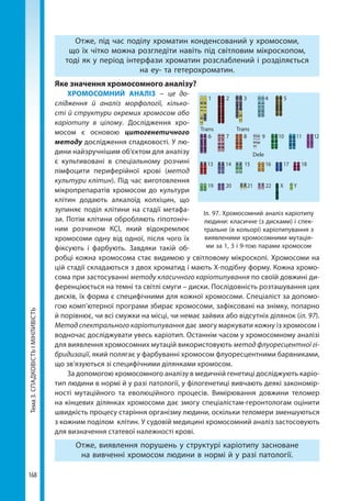 Тема3.СПАДКОВІСТЬІМІНЛИВІСТЬ
168
Отже, під час поділу хроматин конденсований у хромосоми,
що їх чітко можна розгледіти навіть під світловим мікроскопом,
тоді як у період інтерфази хроматин розслаблений і розділяється
на еу- та гетерохроматин.
Яке значення хромосомного аналізу?
ХРОМОСОМНИЙ АНАЛІЗ – це до-
слідження й аналіз морфології, кілько-
сті й структури окремих хромосом або
каріо­типу в цілому. Дослідження хро-
мосом є основою цитогенетичного
методу дослідження спадковості. У лю-
дини найзручнішим об'єктом для аналізу
є культивовані в спеціальному розчині
лімфоцити периферійної крові (метод
культури клітин). Під час виготовлення
мікропрепаратів хромосом до культури
клітин додають алкалоїд колхіцин, що
зупиняє поділ клітини на стадії метафа-
зи. Потім клітини обробляють гіпотоніч-
ним розчином КСl, який відокремлює
хромосоми одну від одної, після чого їх
фіксують і фарбують. Завдяки такій об-
робці кожна хромосома стає видимою у світловому мікроскопі. Хромосоми на
цій стадії складаються з двох хроматид і мають Х-подібну форму. Кожна хромо-
сома при застосуванні методу класичного каріотипування по своїй довжині ди-
ференціюється на темні та світлі смуги – диски. Послідовність розташування цих
дисків, їх форма є специфічними для кожної хромосоми. Спеціаліст за допомо-
гою комп’ютерної програми збирає хромосоми, зафіксовані на знімку, попарно
й порівнює, чи всі смужки на місці, чи немає зайвих або відсутніх ділянок (іл. 97).
Метод спектрального каріотипування дає змогу маркувати кожну із хромосом і
водночас досліджувати увесь каріотип. Останнім часом у хромосомному аналізі
для виявлення хромосомних мутацій використовують метод флуоресцентної гі-
бридизації, який полягає у фарбуванні хромосом флуоресцентними барвниками,
що зв’язуються зі специфічними ділянками хромосом.
За допомогою хромосомного аналізу в медичній генетиці досліджують каріо­
тип людини в нормі й у разі патології, у філогенетиці вивчають деякі закономір-
ності мутаційного та еволюційного процесів. Вимірювання довжини теломер
на кінцевих ділянках хромосоми дає змогу спеціалістам-геронтологам оцінити
швидкість процесу старіння організму людини, оскільки теломери зменшуються
з кожним поділом клітин. У судовій медицині хромосомний аналіз застосовують
для визначення статевої належності крові.
Отже, виявлення порушень у структурі каріотипу засноване
на вивченні хромосом людини в нормі й у разі патології.
Іл. 97. Хромосомний аналіз каріотипу
людини: класичне (з дисками) і спек-
тральне (в кольорі) каріотипування з
виявленими хромосомними мутація-
ми за 1, 3 і 9-тою парами хромосом
1
6
Trans Trans
Dele
2
7
3
8
4
9
5
10 11
13 14 15 16 17 18
19 20 21 22 X Y
12
Право для безоплатного розміщення підручника в мережі Інтернет має
Міністерство освіти і науки України http://mon.gov.ua/ та Інститут модернізації змісту освіти https://imzo.gov.ua
 