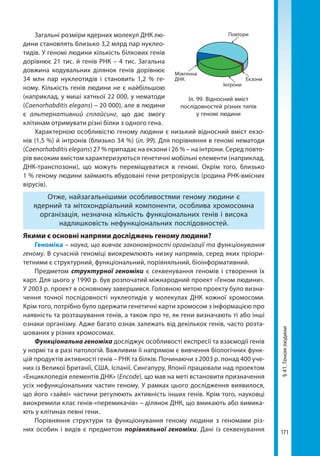 171
§41.Геномлюдини
Загальні розміри ядерних молекул ДНК лю-
дини становлять близько 3,2 млрд пар нуклео-
тидів. У геномі людини кількість білкових генів
дорівнює 21 тис. й генів РНК – 4 тис. Загальна
довжина кодувальних ділянок генів дорівнює
34 млн пар нуклеотидів і становить 1,2 % ге-
ному. Кількість генів людини не є найбільшою
(наприклад, у миші хатньої 22 000, у нематоди
(Caenorhabditis elegans) – 20 000), але в людини
є альтернативний сплайсинг, що дає змогу
клітинам отримувати різні білки з одного гена.
Характерною особливістю геному людини є низький відносний вміст екзо-
нів (1,5 %) й інтронів (близько 34 %) (іл. 99). Для порівняння в геномі нематоди
(Caenorhabditis elegans) 27 % припадає на екзони і 26 % – на інтрони. Серед повто-
рів високим вмістом характеризуються генетичні мобільні елементи (наприклад,
ДНК-транспозони), що можуть переміщуватися в геномі. Окрім того, близько
1 % геному людини займають вбудовані гени ретровірусів (родина РНК-вмісних
вірусів).
Отже, найзагальнішими особливостями геному людини є
ядерний та мітохондріальний компоненти, особлива хромосомна
організація, незначна кількість функціональних генів і висока
надлишковість нефункціональних послідовностей.
Якими є основні напрями досліджень геному людини?
Геноміка – наука, що вивчає закономірності організації та функціонування
геному. В сучасній геноміці виокремлюють низку напрямів, серед яких пріори-
тетними є структурний, функціональний, порівняльний, біоінформативний.
Предметом структурної геноміки є секвенування геномів і створення їх
карт. Для цього у 1990 р. був розпочатий міжнародний проект «Геном людини».
У 2003 р. проект в основному завершився. Головною метою проекту було визна-
чення точної послідовності нуклеотидів у молекулах ДНК кожної хромосоми.
Крім того, потрібно було одержати генетичні карти хромосом з інформацією про
наявність та розташування генів, а також про те, як гени визначають ті або інші
ознаки організму. Адже багато ознак залежать від декількох генів, часто розта-
шованих у різних хромосомах.
Функціональна геноміка досліджує особливості експресії та взаємодії генів
у нормі та в разі патологій. Важливим її напрямом є вивчення біологічних функ-
цій продуктів активності генів – РНК та білків. Починаючи з 2003 р. понад 400 уче-
них із Великої Британії, США, Іспанії, Сингапуру, Японії працювали над проектом
«Енциклопедія елементів ДНК» (Encode), що мав на меті встановити призначення
усіх нефункціональних частин геному. У рамках цього дослідження виявилося,
що його «зайві» частини регулюють активність інших генів. Крім того, науковці
виокремили клас генів-«перемикачів» – ділянок ДНК, що вмикають або вимика-
ють у клітинах певні гени.
Порівняння структури та функціонування геному людини з геномами різ-
них особин і видів є предметом порівняльної геноміки. Дані із секвенування
Іл. 99. Відносний вміст
послідовностей різних типів
у геномі людини
Повтори
Екзони
Інтрони
Міжгенна
ДНК
Право для безоплатного розміщення підручника в мережі Інтернет має
Міністерство освіти і науки України http://mon.gov.ua/ та Інститут модернізації змісту освіти https://imzo.gov.ua
 
