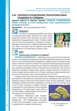 Тема3.СПАДКОВІСТЬІМІНЛИВІСТЬ
182
Зчеплені гени, що локалізовані в одній хромосомі,
успадковуються разом і не виявляють незалежного розподілу.
Закон Моргана
§ 44.	 ЗЧЕПЛЕНЕ УСПАДКУВАННЯ. ПОЗАХРОМОСОМНА
СПАДКОВІСТЬ У ЛЮДИНИ
Основні поняття й ключові терміни: ЗЧЕПЛЕНЕ УСПАДКУВАННЯ
ОЗНАК. Зчеплене зі статтю успадкування ознак. Цитоплазматичне
успадкування ознак.
Пригадайте! 	 Що таке успадкування ознак?
	Поміркуйте!
Т. Х. Морган схрещував дрозофіл і спостерігав
за успадкуванням великої кількості їхніх ознак. Аналіз
результатів допоміг дійти висновку, що деякі ознаки
передаються нащадкам разом. Через те Морган припу-
стив, що гени, які визначають ці «поєднані» ознаки, не
розкидано по всій клітині, а зібрано в особливих острів-
цях. Через те виходило, що всі спадкові ознаки дрозо-
філ поділяються на чотири групи. Поясніть, чому.
	ЗМІСТ
	 Скільки груп зчеплення є в людини?
ЗЧЕПЛЕНЕ УСПАДКУВАННЯ – спадкування генів, що містяться в одній хро-
мосомі. А саме явище розташування генів в одній хромосомі назвали зчепленням
генів. Усі гени однієї хромосоми передаються спадково разом й утворюють одну
групу зчеплення. Оскільки в гомологічних хромосомах розташовуються однако-
ві гени, групу зчеплення утворюють дві гомологічні хромосоми. Тому кількість
груп зчеплення відповідає кількості пар гомологічних хромосом, або кількості
хромосом гаплоїдного набору. Таким чином, у людини налічують 23 групи зче-
плення у представників жіночої статі і 24 групи зчеплення у представників чоло-
вічої статі (22 аутосоми та дві статеві хромосоми X й Y) (іл. 107).
У людини аналіз груп зчеплення класичними методами неможливий внаслі-
док відсутності можливостей експериментальних схрещувань. Для картування
хромосом людини найчастіше застосовували метод аналізу родоводів і метод
гібридизації соматичних клітин (переважно з клітинами миші). На сьогодні відо-
мі усі 24 групи зчеплення. У людини зчеплено
успадковуються резус-фактор й овальна форма
еритроцитів (1-ша хромосома), групи крові за
системою АВ0 й синдром дефекту нігтів і колін-
ної чашечки (19-та хромосома).
Найповніше побудовано карту X-хро­мо­
соми, у якій близько 1400 генів; з них білок-
кодувальних – 841. Найвідомішими ознаками,
за яких гени розташовані в групі зчеплення з
Х-хромосомою, є гемофілія й дальтонізм. Іл. 107. Статеві хромосоми
Х і Y людини
Право для безоплатного розміщення підручника в мережі Інтернет має
Міністерство освіти і науки України http://mon.gov.ua/ та Інститут модернізації змісту освіти https://imzo.gov.ua
 