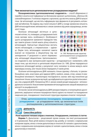 Тема3.СПАДКОВІСТЬІМІНЛИВІСТЬ
184
Чим визначається цитоплазматичне успадкування людини?
Позахромосомна (цитоплазматична) спадковість – спосіб збереження й
передачі генетичної інформації за допомогою органел цитоплазми, здатних до
самовідтворення. У клітинах людини є органели, що містять власну ДНК й власні
гени. Це мітохондрії, що містять інформацію про ферменти й регулюють клітин-
ний метаболізм. На відміну від сталої кількості ДНК у складі хромосом кількість
ДНК мітохондрій може змінюватися з віком залежно від умов середовища, актив-
ності тощо.
Оскільки мітохондрії містяться в цито­
плазмі клітин, то, очевидно, успадкування їхніх
генів матиме якісь особливості. Особливості
цього успадкування зумовлені передусім тим,
що гамети різних статей мають різну кількість
мітохондрій. Найчастіше яйцеклітина містить
тисячі мітохондрій, а сперматозоон  – одини-
ці. Окрім того, мітохондрія чоловічої гамети
взагалі не потрапляє в яйцеклітину під час
запліднення. У результаті в зиготі переважа-
ють мітохондрії яйцеклітини. Цитоплазматич-
на спадковість має материнський характер – успадковуються і виявляють себе
лише гени, що містяться в цитоплазмі яйцеклітини (іл. 108). Дітям передаються
виключно мітохондрії матері, у результаті чого чоловіки та жінки можуть мати
відповідну ознаку, але тільки жінки передають її своїм дітям.
Оскільки мітохондріальна ДНК належить тільки одному з батьків, то реком-
бінаційних змін, властивих для ядерної ДНК у мейозі, немає, отже, немає й ком-
бінаційної мінливості. Нуклеотидна послідовність зазнає змін від покоління до
покоління тільки за рахунок мутацій, що відбуваються в десяток разів інтенсивні-
ше, ніж у ядерній ДНК. Наприкінці XX ст. виник новий розділ медицини – мітохон-
дріальна патологія. Класичними проявами мітохондріальних хвороб вважаються
міопатії та енцефалопатії.
Останнім часом мітохондріальну ДНК використовують в популяційних дослі-
дженнях, вирішенні питання поширення Homo sapiens на планеті та походження
людських рас, походження і генетичної структури окремих етносів і популяцій.
Отже, цитоплазматичне (позаядерне, позахромосомне)
успадкування – це успадкування генів, що визначається їхнім
розташуванням у цитоплазматичних структурах.
	ДІЯЛЬНІСТЬ
	 Самостійна робота
Розв’язування типових вправ з генетики. Успадкування, зчеплене зі статтю
Вправа 1. Дальтонізм – рецесивний прояв ознаки, ген якої розташований
в Х-хромосомі. Яких дітей можна очікувати від шлюбу: а) чоловік з нормальним
колірним зором, жінка з геном дальтонізму в генотипі; б) чоловік з дальтонізмом,
жінка з нормальним кольоровим зором; в) чоловік з дальтонізмом, жінка з геном
дальтонізму в генотипі.
Іл. 108. Материнський характер
цитоплазматичного успадкування
в людини
Право для безоплатного розміщення підручника в мережі Інтернет має
Міністерство освіти і науки України http://mon.gov.ua/ та Інститут модернізації змісту освіти https://imzo.gov.ua
 
