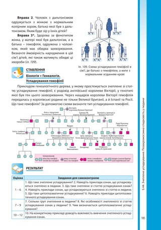 185
§44.Зчепленеуспадкування.Позахромосомнаспадковістьулюдини
Вправа 2. Чоловік з дальтонізмом
одружується з жінкою з нормальним
колірним зором, батько якої був з даль­
тоніз­мом. Яким буде зір у їхніх дітей?
Вправа 3*. Здорова за фенотипом
жінка, у матері якої був дальтонізм, а в
батька  – гемофілія, одружена з чолові-
ком, який має обидва захворювання.
Визначте ймовірність народження в цій
сім’ї дітей, які також матимуть обидві ці
хвороби (іл. 109).
СТАВЛЕННЯ
Біологія + Генеалогія.
	 Успадкування гемофілії
Прикладом генеалогічного дерева, у якому простежується зчеплене зі стат-
тю успадкування гемофілії, є родовід англійської королеви Вікторії, у генотипі
якої був ген цього захворювання. Через нащадків королеви Вікторії гемофілія
передалась у королівські родини не тільки Великої Британії, а й Іспанії та Росії.
Що таке гемофілія? За допомогою схеми визначте тип успадкування гемофілії.
Вікторія,
королева Великої Британії
Едвард VII,
король Великої Британії
Аліса, герцогиня
Гессенська і Рейнська
Леопольд,
герцог Олбані
Аліса, графиня
Атлонська
Олександра
Федорівна
Ірена, принцеса
Гессен-Дармштадтська
Фрідріх
Генріх
Альфонс XII,
король Іспанії
Вікторія Євгенія
Батенберзька
Лорд Леопольд
Маунтбаттен
Альфонсо,
принц Астурійський
ВальдемарОлексій
Миколайович
ПОЗНАЧЕННЯ:
жінка без гемофілії,
чоловік без гемофілії
жінка, в генотипі
якої є ген гемофілії
жінка з гемофілією
чоловік з гемофілією
предки сучасної британ­
ської королівської сім’ї
Руперт
Кембридж
Микола ІІ,
Імператор Росії
Беатриса, принцеса
Великої Британії
	РЕЗУЛЬТАТ
Оцінка Завдання для самоконтролю
1 – 6
1. Що таке зчеплене успадкування? 2. Наведіть приклади ознак, що успадкову-
ються зчеплено в людини. 3. Що таке зчеплене зі статтю успадкування ознак?
4. Наведіть приклади ознак, що успадковуються зчеплено зі статтю в людини.
5. Що таке цитоплазматичне успадкування? 6. Наведіть приклади цитоплазма-
тичного успадкування ознак.
7 – 9
7. Скільки груп зчеплення в людини? 8. Які особливості зчепленого зі статтю
успадкування ознак у людини? 9. Чим визначається цитоплазматичне успад-
кування?
10 – 12
10. На конкретному прикладі доведіть важливість вивчення зчепленого успад-
кування ознак.
Іл. 109. Схема успадкування гемофілії в
сім’ї, де батько з гемофілією, а мати з
нормальним зсіданням крові
Xh
Y XH
XH
XH
Y XH
YXH
Xh
XH
Xh
Право для безоплатного розміщення підручника в мережі Інтернет має
Міністерство освіти і науки України http://mon.gov.ua/ та Інститут модернізації змісту освіти https://imzo.gov.ua
 