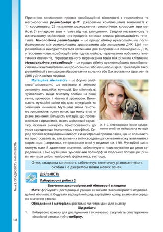 Тема3.СПАДКОВІСТЬІМІНЛИВІСТЬ
188
Причиною виникнення проявів комбінаційної мінливості є гомологічна та
негомологічна рекомбінації ДНК. Джерелами комбінаційної мінливості є:
1)  кросинговер; 2)  незалежне розходження гомологічних хромосом при ме-
йозі; 3) випадкове злиття гамет під час запліднення. Завдяки незалежному та
одночасному здійсненню цих процесів виникає велика різноманітність гено-
типів. Гомологічна рекомбінація – це процес обміну нуклеотидними послі-
довностями між гомологічними хромосомами або ланцюгами ДНК. Цей тип
рекомбінації використовується клітинами для виправлення пошкоджень ДНК,
утворення нових комбінацій генів під час мейозу, перенесення мобільних гене-
тичних елементів, горизонтального перенесення генів між різними клітинами.
Негомологічна рекомбінація – це процес обміну нуклеотидними послідовно-
стями між негомологічними хромосомами або ланцюгами ДНК. Прикладом такої
рекомбінації є випадкове вбудовування вірусних або бактеріальних фрагментів
ДНК у ДНК клітин людини.
Мутаційна мінливість – це форма спад-
кової мінливості, що пов’язана зі змінами
генотипу внаслідок мутацій. Цю мінливість
зумовлюють зміни генотипу особин на рівні
генів, хромосом і кількості хромосом. Вини-
кають мутаційні зміни під дією внутрішніх та
зовнішніх чинників. Мутаційні зміни геноти-
пу зумовлюють появу ознак, що можуть мати
різне значення. Більшість мутацій, що прояв-
ляються в організмів, мають шкідливий харак-
тер, оскільки знижують пристосованість до
умов середовища (наприклад, гемофілія). Се-
ред проявів мутаційної мінливості є й нейтральні прояви ознак, що не впливають
на пристосованість, але за певних змін середовища існування можуть виявитися
корисними (наприклад, гетерохромія очей у людини) (іл. 110). Мутаційні зміни
можуть мати й адаптивне значення, забезпечуючи пристосування до умов се-
редовища. Саме мутаціями зумовлений поліморфізм людських популяцій: різні
пігментація шкіри, колір очей, форма носа, вух тощо.
Отже, спадкова мінливість забезпечує генетичну різноманітність
особин і є джерелом появи нових ознак.
	ДІЯЛЬНІСТЬ
	 Лабораторна робота 2
Вивчення закономірностей мінливості в людини
Мета: формувати дослідницькі уміння визначати закономірності модифіка-
ційної мінливості, будувати варіаційний ряд, варіаційну криву, визначати серед-
нє значення ознаки.
Обладнання і матеріали: ростомір чи готові дані для аналізу.
Хід роботи
1. 	 Вибираємо ознаку для дослідження і визначаємо сукупність спостережень
кількісної ознаки, тобто вибірку.
Іл. 110. Гетерохромія (різне забарв-
лення очей) як нейтральна мутація
Право для безоплатного розміщення підручника в мережі Інтернет має
Міністерство освіти і науки України http://mon.gov.ua/ та Інститут модернізації змісту освіти https://imzo.gov.ua
 