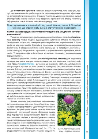 195
§47.Захистгеномулюдинивідшкідливихмутагеннихвпливів
До біологічних мутагенів належать віруси (наприклад, кіру, краснухи, гри-
пу), токсини гельмінтів, грибів-паразитів, цвілевих грибів (наприклад, афлатокси-
ни аспергілів) отруйних рослин й тварин. У клітинах, уражених вірусами, мутації
спостерігають значно частіше, ніж у здорових. Віруси вносять власну генетичну
інформацію в геном клітини, змінюючи структуру генів.
Отже, мутагенами є зовнішні або внутрішні, фізичні, хімічні й біологічні
чинники, що спричиняють зміни в структурі генів і хромосом.
Якими є заходи щодо захисту геному людини від шкідливих мутаген-
них впливів?
У наш час виокремлюють декілька основних підходів для організації соціаль-
ного захисту геному людини від шкідливих мутагенних впливів: 1) створення
безвідходних технологій, замкнутих циклів виробництва у промисловості; 2) пе-
рехід від хімічних засобів боротьби в сільському господарстві до нешкідливих
біологічних; 3) створення стійких сортів рослин, що не потребують хімічних за-
собів захисту; 4) тестування на мутагенність фармацевтичних препаратів, пести-
цидів; 5)  вилучення або нейтралізація мутагенних чинників у навколишньому
середовищі та ін.
Найбільш реальним засобом для індивідуального захисту ДНК людини від
незворотних змін є використання антимутагенів для зниження темпів мутацій-
ного процесу. Антимутагени – речовини, що знижують частоту мутацій. Вони
нейтралізують мутаген до його реакції з молекулою ДНК або знімають пошко-
дження ДНК, що зумовлені мутагеном. Антимутагенну дію мають вітаміни, каро-
тини, глутамін, серотонін, а також деякі фізичні чинники (денне світло). Відомо
понад 500 сполук, для яких доведено здатність до захисту геному від дії мутаге-
нів. Так, прийом каротину, вітаміну С і вітаміну Е зменшує спонтанне пошкоджен-
ня ДНК у лімфоцитах крові. Антиоксиданти, що містяться в зеленому чаї, значно
зменшують частоту хромосомних мутацій. Для запобігання шкідливому мутаген-
ному впливу за допомогою антимутагенів людині потрібно вживати більше нату-
ральних свіжих продуктів, особливо капусти й зелені, круп, хліба з висівками. У
їхньому складі є вітаміни й клітковина. Вживання клітковини прискорює процес
проходження їжі стравоходом і, як наслідок, обмеж-
ує руйнівну дію на кишечник деяких шкідливих ре-
човин, що містяться в їжі. 
Велике значення для запобігання шкідливим му-
тагенним впливам має стан імунної си­стеми люди-
ни.Томунеслідвідкладатиу«довгийящик»лікування
хронічних хвороб, це послаблює імунітет й посилює
шкідливий мутагенний вплив. Дорослим людям
слід періодично використовувати трав’яні збори
для очищення печінки, в якій відбуваються основні
процеси біотрансформації шкідливих речовин. Осо-
бливо корисні гепатопротекторні властивості мають
розторопша плямиста (Silybum marianum), ласка-
вець золотистий (Bupleurum aureum) (іл. 111). Не
слід вживати без консультацій з лікарем невідомі лі-
Іл. 111. Розторопша і ласка­
вець – лікарські рослини
Право для безоплатного розміщення підручника в мережі Інтернет має
Міністерство освіти і науки України http://mon.gov.ua/ та Інститут модернізації змісту освіти https://imzo.gov.ua
 