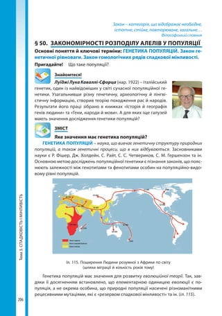 Тема3.СПАДКОВІСТЬІМІНЛИВІСТЬ
206
Закон – категорія, що відображає необхідне,
істотне, стійке, повторюване, загальне…
Філософський словник
§ 50.	 ЗАКОНОМІРНОСТІ РОЗПОДІЛУ АЛЕЛІВ У ПОПУЛЯЦІЇ
Основні поняття й ключові терміни: ГЕНЕТИКА ПОПУЛЯЦІЙ. Закон ге-
нетичної рівноваги. Закон гомологічних рядів спадкової мінливості.
Пригадайте! 	 Що таке популяції?
	Знайомтеся!
Луїджі Лука Каваллі-Сфорца (нар. 1922) – італійський
генетик, один із найвідоміших у світі сучасної популяційної ге-
нетики. Узагальнивши різну генетичну, археологічну й лінгві­
стичну інформацію, створив теорію походження рас й народів.
Результати його праці зібрано в книжках «Історія й географія
генів людини» та «Гени, народи й мови». А для яких іще галузей
мають значення дослідження генетики популяцій?
	ЗМІСТ
	 Яке значення має генетика популяцій?
ГЕНЕТИКА ПОПУЛЯЦІЙ – наука, що вивчає генетичну структуру природних
популяцій, а також генетичні процеси, що в них відбуваються. Засновниками
науки є Р. Фішер, Дж. Холдейн, С. Райт, С. С. Четвериков, С. М. Гершензон та ін.
Основною метою досліджень популяційної генетики є пізнання законів, що пояс-
нюють залежності між генотипами та фенотипами особин на популяційно-видо-
вому рівні популяцій.
Іл. 115. Поширення Людини розумної з Африки по світу
(шляхи міграції й кількість років тому)
Генетика популяцій має значення для розвитку еволюційної теорії. Так, зав-
дяки її досягненням встановлено, що елементарною одиницею еволюції є по-
пуляція, а не окрема особина, що природні популяції насичені різноманітними
рецесивними мутаціями, які є «резервом спадкової мінливості» та ін. (іл. 115).
Право для безоплатного розміщення підручника в мережі Інтернет має
Міністерство освіти і науки України http://mon.gov.ua/ та Інститут модернізації змісту освіти https://imzo.gov.ua
 
