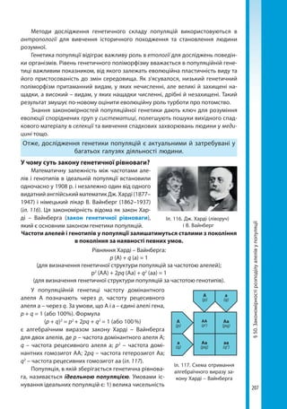 207
§50.Закономірностірозподілуалелівупопуляції
Методи дослідження генетичного складу популяцій використовуються в
антропології для вивчення історичного походження та становлення людини
розумної.
Генетика популяції відіграє важливу роль в етології для досліджень поведін-
ки організмів. Рівень генетичного поліморфізму вважається в популяційній гене-
тиці важливим показником, від якого залежать еволюційна пластичність виду та
його пристосованість до змін середовища. Як з'ясувалося, низький генетичний
поліморфізм притаманний видам, у яких нечисленні, але великі й захищені на-
щадки, а високий – видам, у яких нащадки численні, дрібні й незахищені. Такий
результат змушує по-новому оцінити еволюційну роль турботи про потомство.
Знання закономірностей популяційної генетики дають ключ для розуміння
еволюції споріднених груп у систематиці, полегшують пошуки вихідного спад-
кового матеріалу в селекції та вивчення спадкових захворювань людини у меди-
цині тощо.
Отже, дослідження генетики популяцій є актуальними й затребувані у
багатьох галузях діяльності людини.
У чому суть закону генетичної рівноваги?
Математичну залежність між частотами але-
лів і генотипів в ідеальній популяції встановили
одночасно у 1908 р. і незалежно один від одного
видатний англійський математик Дж. Харді (1877–
1947) і німецький лікар В. Вайнберг (1862–1937)
(іл. 116). Ця закономірність відома як закон Хар-
ді  – Вайнберга (закон генетичної рівноваги),
який є основним законом генетики популяцій.
Частоти алелей і генотипів у популяції залишатимуться сталими з покоління
в покоління за наявності певних умов.
Рівняння Харді – Вайнберга:
p (А) + q (а) = 1
(для визначення генетичної структури популяцій за частотою алелей);
p2
(АА) + 2pq (Аа) + q2
(аа) = 1
(для визначення генетичної структури популяцій за частотою генотипів).
У популяційній генетиці частоту домінантного
алеля А позначають через р, частоту рецесивного
алеля а – через q. За умови, що А i a – єдині алелі гена,
р + q = 1 (або 100%). Формула
(р + q)2
 = р2 
+ 2рq + q2
 = 1 (або 100 %)
є алгебраїчним виразом закону Харді – Вайнберга
для двох алелів, де р – частота домінантного алеля А;
q – частота рецесивного алеля а; р2
  – частота домі-
нантних гомозигот АА; 2pq – частота гетерозигот Аа;
q2
 – частота рецесивних гомозигот аа (іл. 117). 
Популяція, в якій зберігається генетична рівнова-
га, називається ідеальною популяцією. Умовами іс-
нування ідеальних популяцій є: 1) велика чисельність
Іл. 116. Дж. Харді (ліворуч)
і В. Вайнберг
A
(p)
A
(p)
AA
(p2
)
Aa
(pq)
Aa
(pq)
aa
(q2
)
a
(q)
a
(q)
Іл. 117. Схема отримання
алгебраїчного виразу за-
кону Харді – Вайнберга
Право для безоплатного розміщення підручника в мережі Інтернет має
Міністерство освіти і науки України http://mon.gov.ua/ та Інститут модернізації змісту освіти https://imzo.gov.ua
 