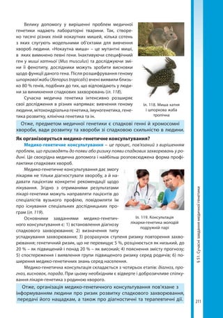 211
§51.Сучаснізавданнямедичноїгенетики
Велику допомогу у вирішенні проблем медичної
генетики надають лабораторні тварини. Так, створе-
но тисячі різних ліній нокаутних мишей, кілька сотень
з яких слугують модельними об'єктами для вивчення
хвороб людини. «Нокаутна миша» – це мутантні миші,
в яких вимкнено певні гени. Інактивуючи специфічний
ген у миші хатньої (Mus musculus) та досліджуючи змі-
ни її фенотипу, дослідники можуть зробити висновки
щодо функції даного гена. Після розшифрування геному
шпор­кової жаби (Xenopus tropicalis) вчені виявили близь-
ко 80 % генів, подібних до тих, що відповідають у люди-
ни за виникнення спадкових захворювань (іл. 118).
Сучасна медична генетика інтенсивно розширяє
свої дослідження в різних напрямах: вивчення геному
людини, мітохондріальна генетика, імуногенетика, гене-
тика розвитку, клінічна генетика та ін.
Отже, предметом медичної генетики є спадкові генні й хромосомні
хвороби, вади розвитку та хвороби зі спадковою схильністю в людини.
Як організовується медико-генетичне консультування?
Медико-генетичне консультування – це процес, пов'язаний з вирішенням
проблем, що призводять до появи або ризику появи спадкових захворювань у ро-
дині. Це своєрідна медична допомога і найбільш розповсюджена форма профі-
лактики спадкових хвороб.
Медико-генетичне консультування дає змогу
лікарям не тільки діагностувати хворобу, а й на-
давати пацієнтам конкретні рекомендації щодо
лікування. Згідно з отриманими результатами
лікарі-генетики можуть направляти пацієнтів до
спеціалістів вузького профілю, повідомляти їм
про існування спеціальних дослідницьких про-
грам (іл. 119).
Основними завданнями медико-генетич-
ного консультування є: 1) встановлення діагнозу
спадкового захворювання; 2) визначення типу
успадкування захворювання; 3) розрахунок ступеня ризику повторення захво-
рювання; генетичний ризик, що не перевищує 5 %, розцінюється як низький, до
20 % – як підвищений і понад 20 % – як високий; 4) пояснення змісту прогнозу;
5) спостереження і виявлення групи підвищеного ризику серед родичів; 6) по-
ширення медико-генетичних знань серед населення.
Медико-генетична консультація складається з чотирьох етапів: діагноз, про-
гноз, висновок, порада. При цьому необхідним є відверте і доброзичливе спілку-
вання лікаря-генетика з родиною хворого.
Отже, організація медико-генетичного консультування пов’язане з
інформуванням людини про ризик розвитку спадкового захворювання,
передачі його нащадкам, а також про діагностичні та терапевтичні дії.
Іл. 118. Миша хатня
і шпоркова жаба
тропічна
Іл. 119. Консультація
лікарки-генетика молодій
подружній парі
Право для безоплатного розміщення підручника в мережі Інтернет має
Міністерство освіти і науки України http://mon.gov.ua/ та Інститут модернізації змісту освіти https://imzo.gov.ua
 