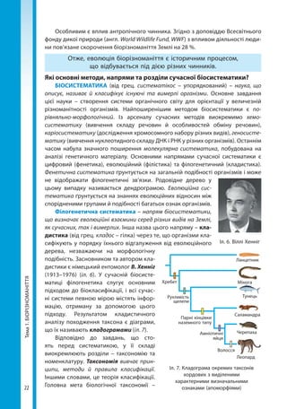 22
Тема1.БІОРІЗНОМАНІТТЯ Особливим є вплив антропічного чинника. Згідно з доповіддю Всесвітнього
фонду дикої природи (англ. World Wildlife Fund, WWF) з впливом діяльності люди-
ни пов’язане скорочення біорізноманіття Землі на 28 %.
Отже, еволюція біорізноманіття є історичним процесом,
що відбувається під дією різних чинників.
Які основні методи, напрями та розділи сучасної біосистематики?
БІОСИСТЕМАТИКА (від грец. систематікос – упорядкований) – наука, що
описує, називає й класифікує існуючі та вимерлі організми. Основне завдання
цієї науки  – створення системи органічного світу для орієнтації у величезній
різноманітності організмів. Найпоширенішим методом біосистематики є по-
рівняльно-морфологічний. Із арсеналу сучасних методів виокремимо хемо-
систематику (вивчення складу речовин й особливостей обміну речовин),
каріосистематику (дослідження хромосомного набору різних видів), геносисте-
матику (вивчення нуклеотидного складу ДНК і РНК у різних організмів). Останнім
часом набула значного поширення молекулярна систематика, побудована на
аналізі генетичного матеріалу. Основними напрямами сучасної систематики є
цифровий (фенетика), еволюційний (філістика) та філогенетичний (кладистика).
Фенетична систематика ґрунтується на загальній подібності організмів і може
не відображати філогенетичні зв’язки. Родовідне дерево у
цьому випадку називається дендрограмою. Еволюційна сис-
тематика ґрунтується на знаннях еволюційних відносин між
спорідненими групами й подібності багатьох ознак організмів.
Філогенетична систематика – напрям біосистематики,
що визначає еволюційні взаємини серед різних видів на Землі,
як сучасних, так і вимерлих. Інша назва цього напряму – кла­
дистика (від грец. кладос – гілка) через те, що організми кла-
сифікують у порядку їхнього відгалуження від еволюційного
дерева, незважаючи на морфологічну
подібність. Засновником та автором кла-
дистики є німецький ентомолог В. Хенніг
(1913–1976) (іл. 6). У сучасній біосисте-
матиці філогенетика слугує основним
підходом до біокласифікації, і всі сучас-
ні системи певною мірою містять інфор-
мацію, отриману за допомогою цього
підходу. Результатом кладистичного
аналізу походження  таксона  є діаграми,
що їх називають кладограмами (іл. 7).
Відповідно до завдань, що сто-
ять перед систематикою, у її складі
виокремлюють розділи – таксономію та
номенклатуру. Таксономія вивчає прин-
ципи, методи й правила класифікації.
Іншими словами, це теорія класифікації.
Головна мета біологічної таксономії –
Іл. 6. Віллі Хенніг
Іл. 7. Кладограма окремих таксонів
хордових з виділеними
характерними визначальними
ознаками (апоморфіями)
Волосся
Амніо­тичні
яйця
Парні кінцівки
наземного типу
Рухливість
щелепи
Хребет
Ланцетник
Мінога
Тунець
Саламандра
Черепаха
Леопард
Мінога
Право для безоплатного розміщення підручника в мережі Інтернет має
Міністерство освіти і науки України http://mon.gov.ua/ та Інститут модернізації змісту освіти https://imzo.gov.ua
 