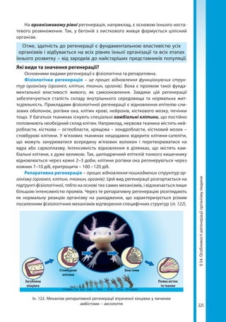 10bs2018ua 190907170246