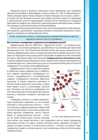 10bs2018ua 190907170246