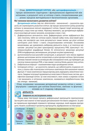 10bs2018ua 190907170246